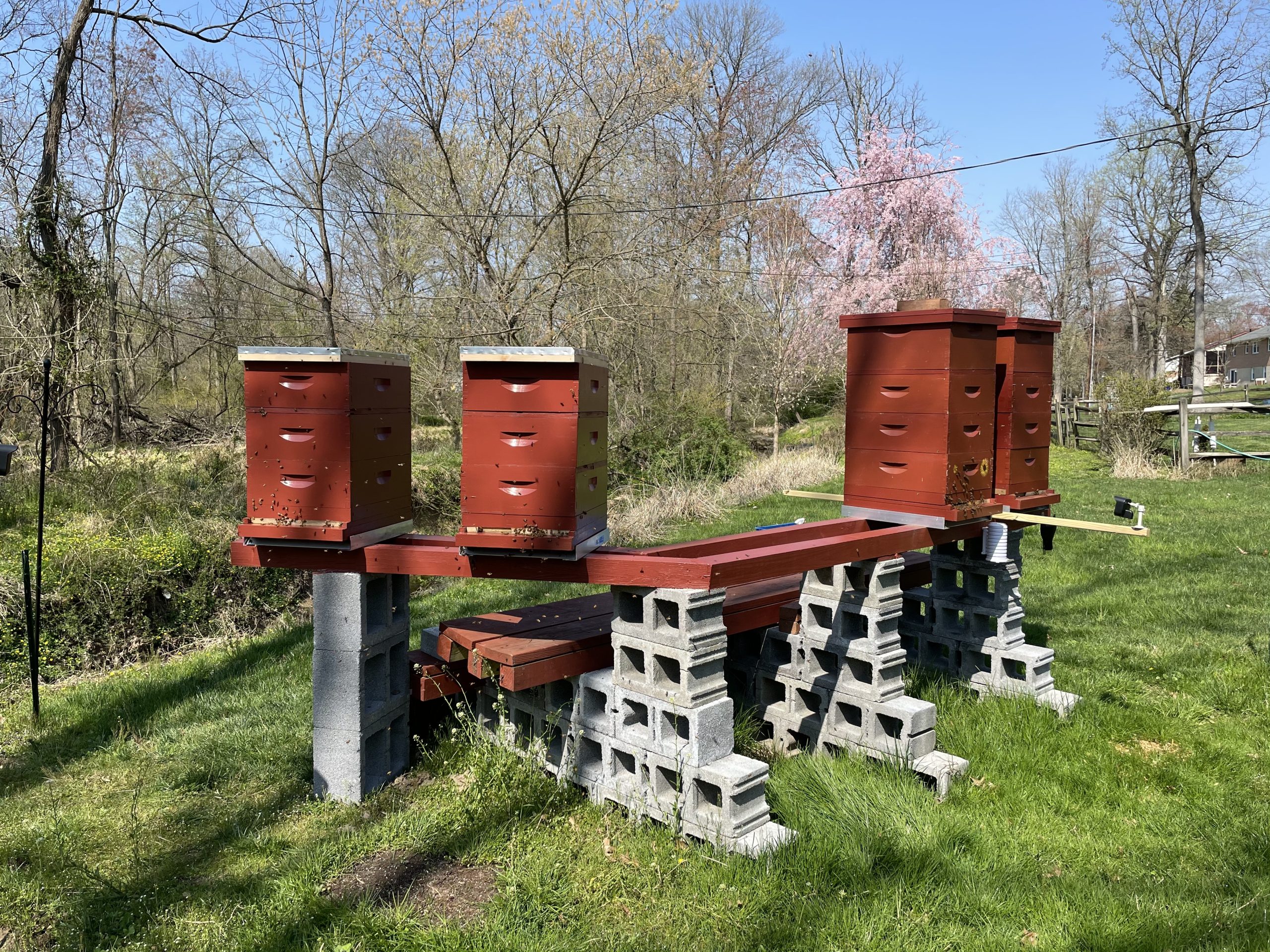 Expanding the hive stand