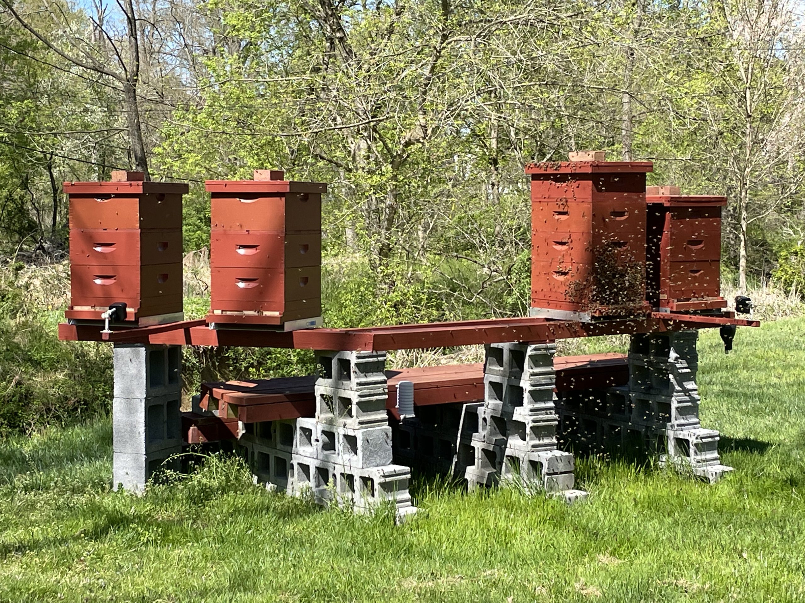 Swarm season 2021